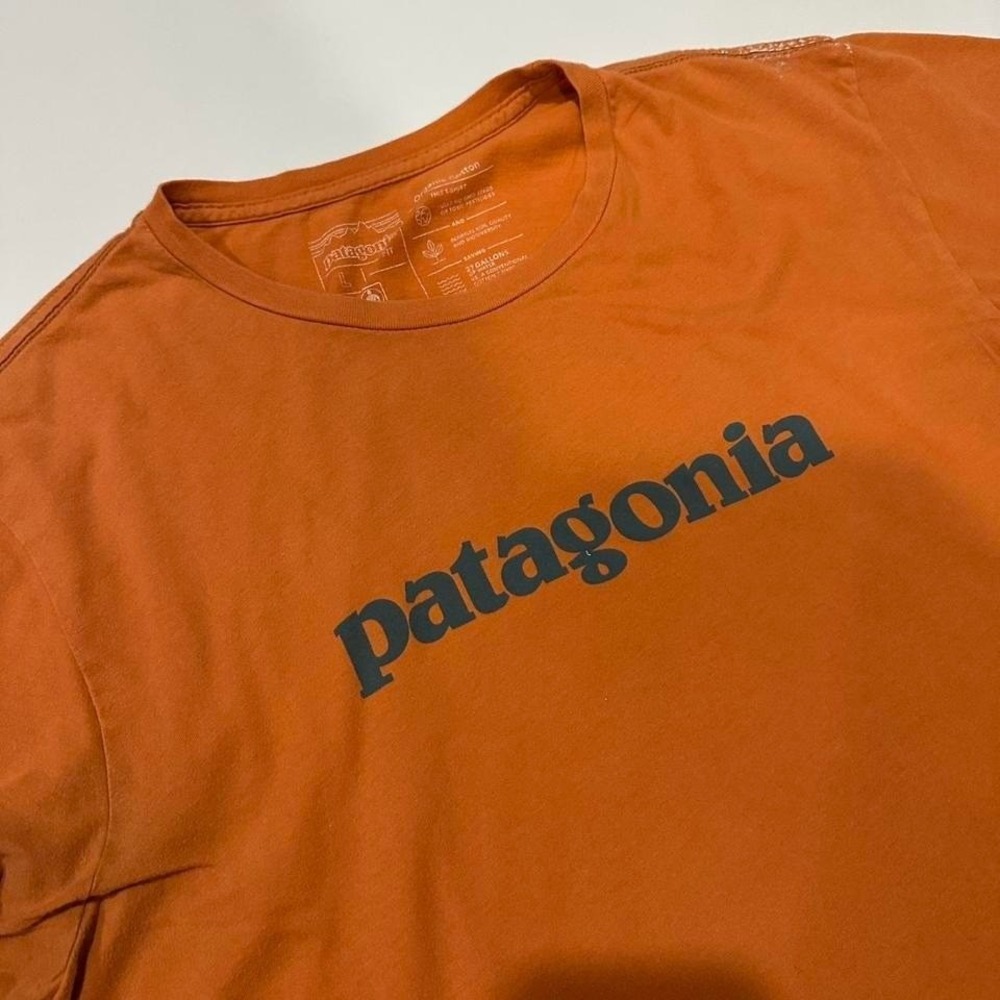 Patagonia Men's Tshirt Large Slim Fit